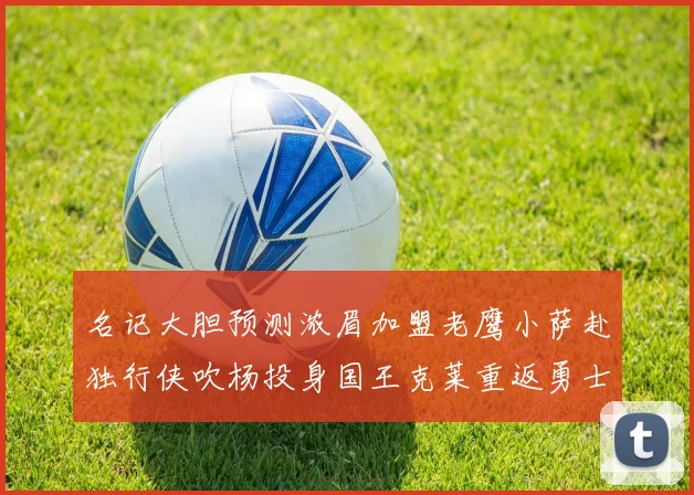 名记大胆预测浓眉加盟老鹰小萨赴独行侠吹杨投身国王克莱重返勇士